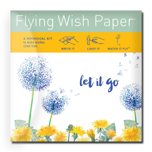 LET IT GO  Wish-Making Mini Kit