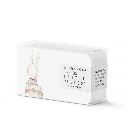 E. Frances Paper - Easter Bunny Little Notes®