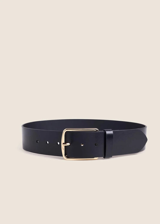 The Icon Belt
